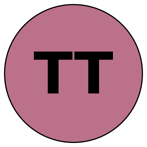 TrueTrip